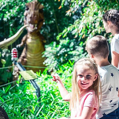 Dinosaures Aventure
