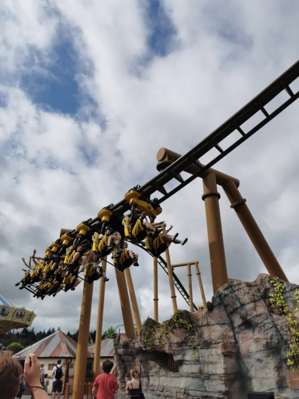 Flight of the Pterosaur