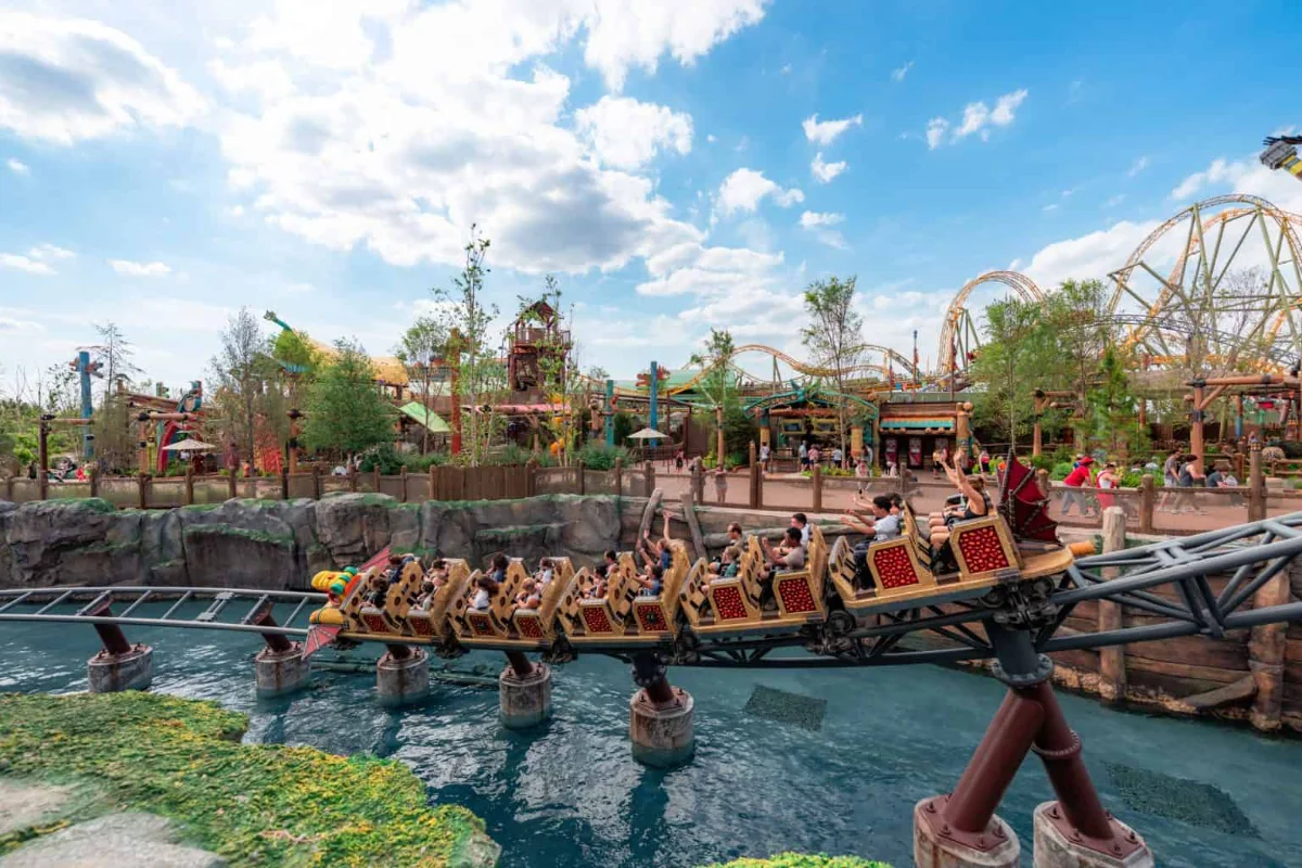 Hiccup's Wing Gliders