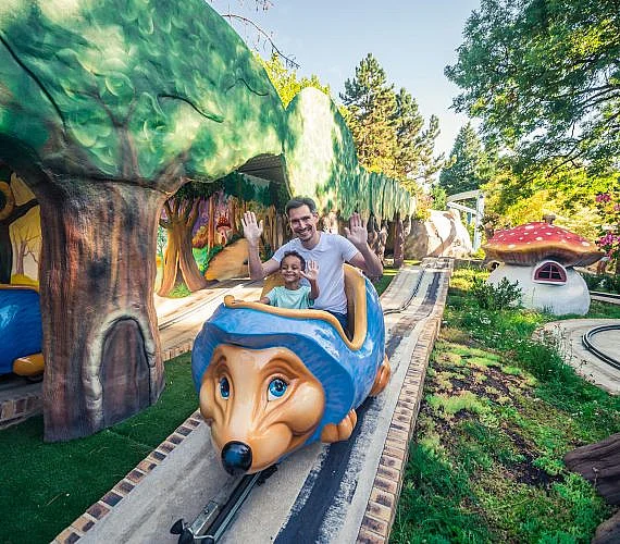 Hérissons de la Forêt Magique