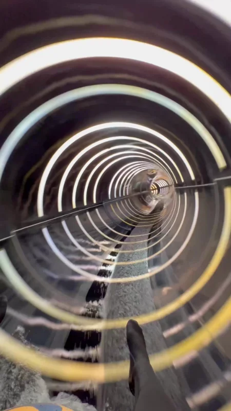 Bzzz : Toboggan sensations fortes