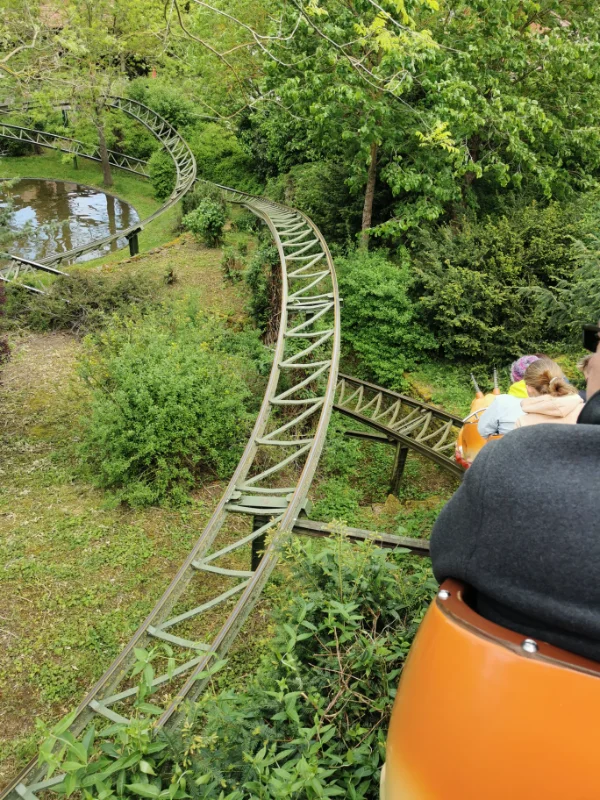 Rasender TausendfuBler