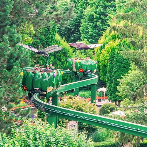 L’Envol des Papillons