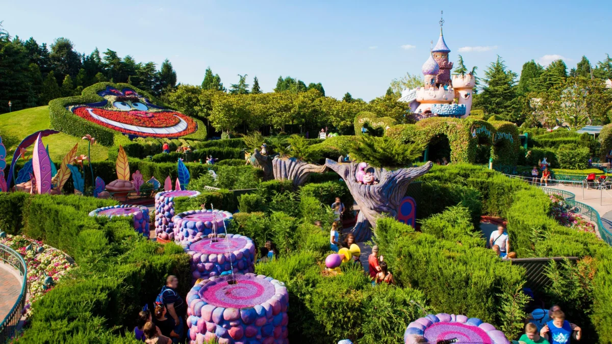 Alice’s Curious Labyrinth